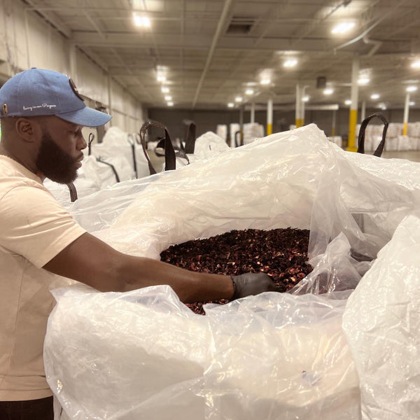 The Hibiscus King - Diary of an African Entrepreneur 